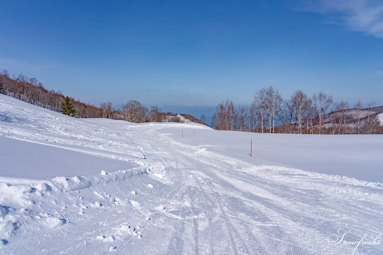 朝里川温泉スキー場　全長４km超のダウンヒル！今季誕生した新エリア『ツリーランゾーン』→『ホワイトライン』を滑ってみました(*^^)v